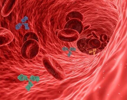Blood Cells - Improve Blood Circulation