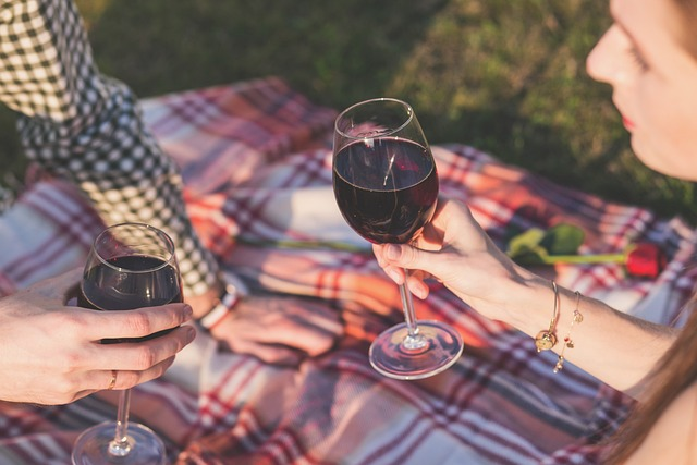 picnic, wine, cheers