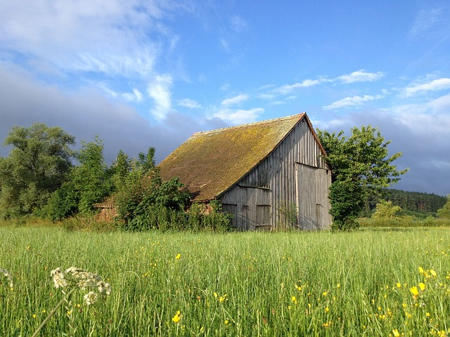 barn, field barn, summer