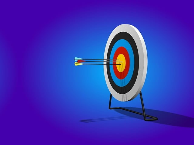 arrows, target, range representing goals