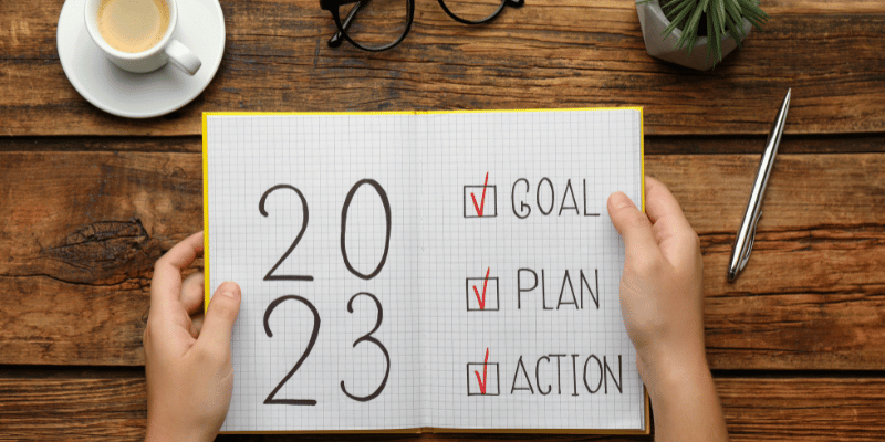 template for Goal Plan DO Check