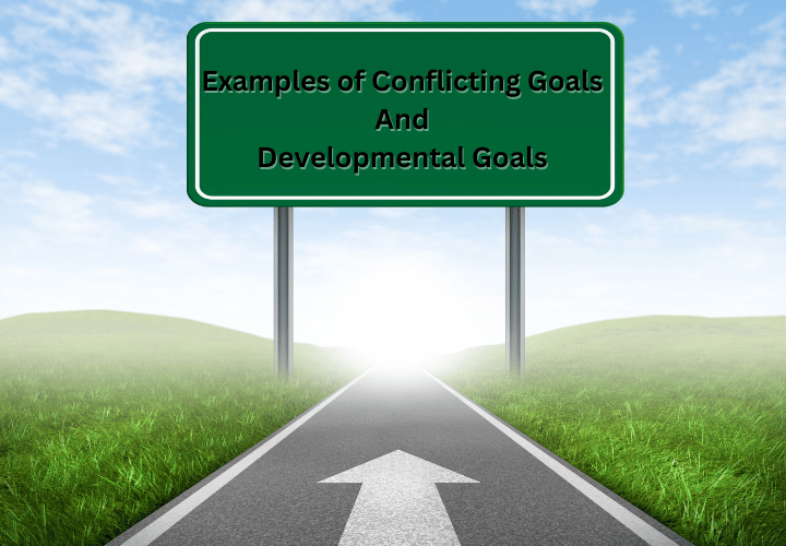Examples of Conflicting Goals & Developmental Goals