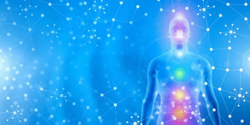 chakras in the human body