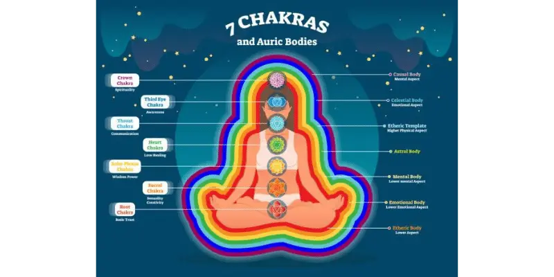7 Chakras and auric bodies