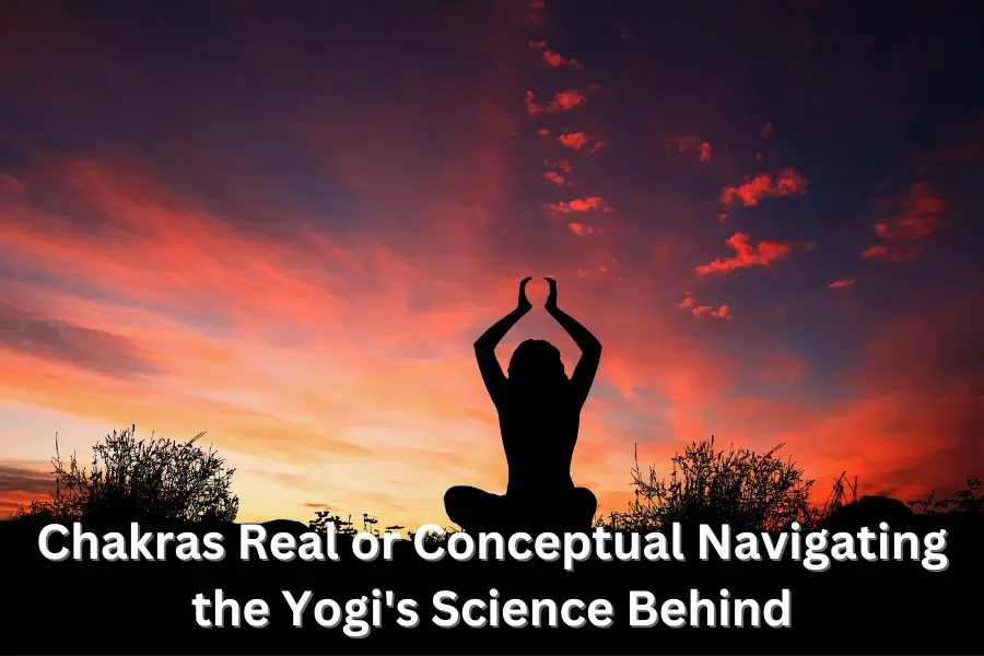 Chakras Real or Conceptual Navigating the Yogi's Science Behind