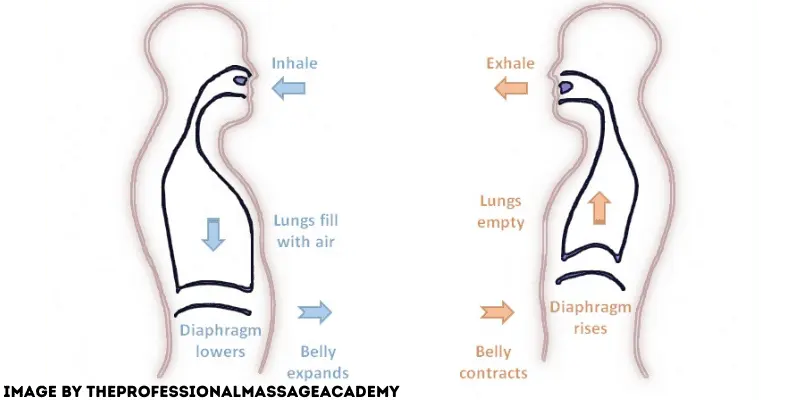 Diaphragmatic Breathing