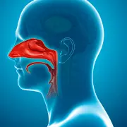 Nasal Breathing